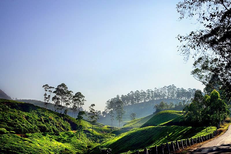 CHENNAI TO MUNNAR
