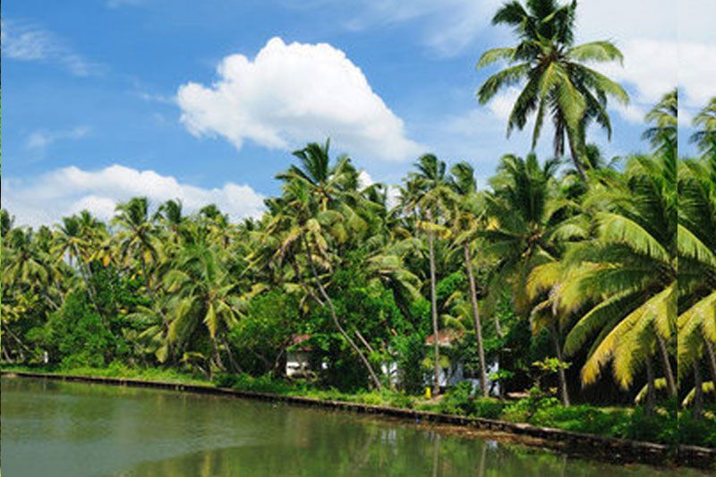 Munnar(2N) | Thekkady(1N) | Kumarakom(2N)