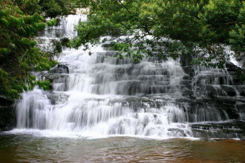 Kodaikanal & Valparai