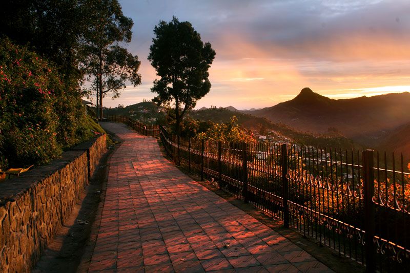 Ooty, Kodaikanal, Coorg