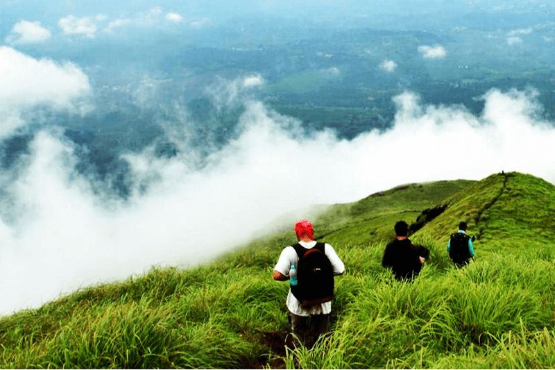 Wayanad & Ooty