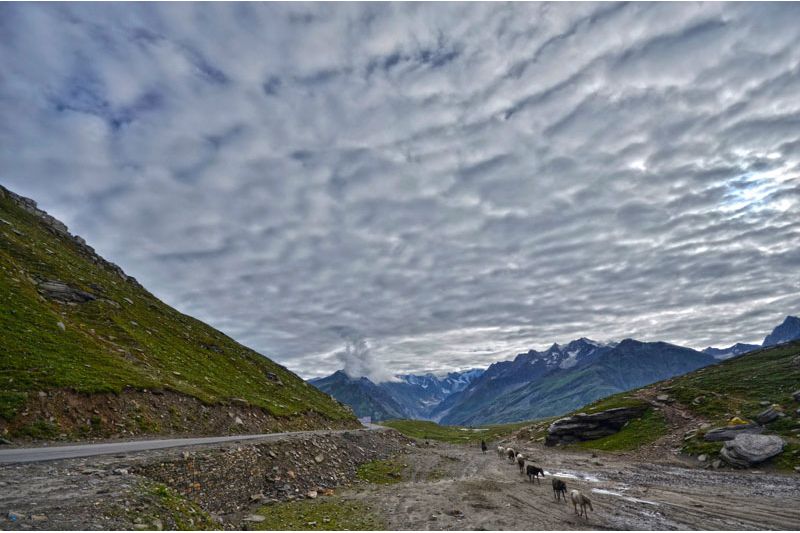 MANALI STUDENT TOUR