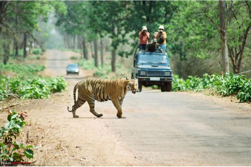 PENCH NATIONAL PARK