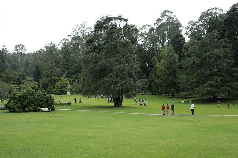 Ooty & Nilgiris
